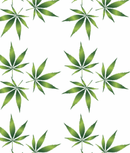 Legalization of Marijuana in Virginia