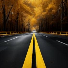 double solid yellow 1