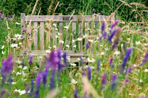 bench with wildflowers